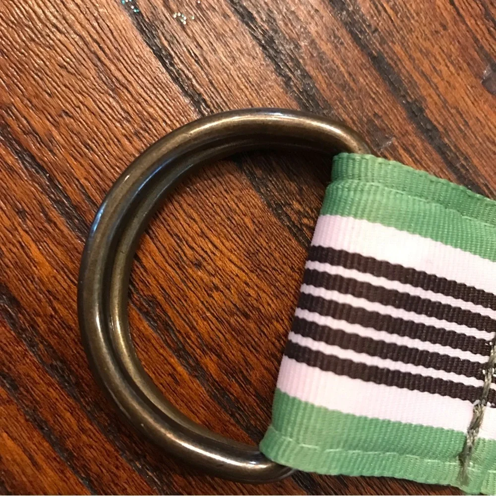 ⚓️J CREW Ribbon Belt - Picture 6 of 6